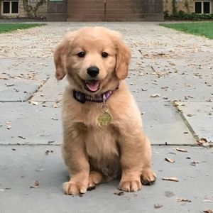 Meet your Posher, Karie